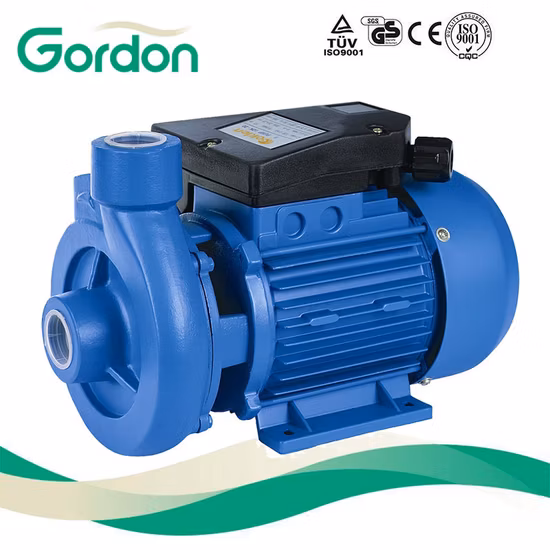 Garden Pump (JDP-P)