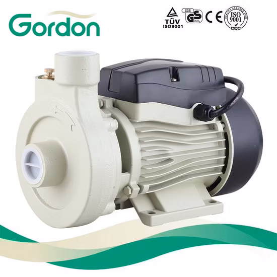 Garden Pump (JDP-P)